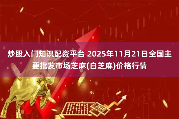 炒股入门知识配资平台 2025年11月21日全国主要批发市场芝麻(白芝麻)价格行情